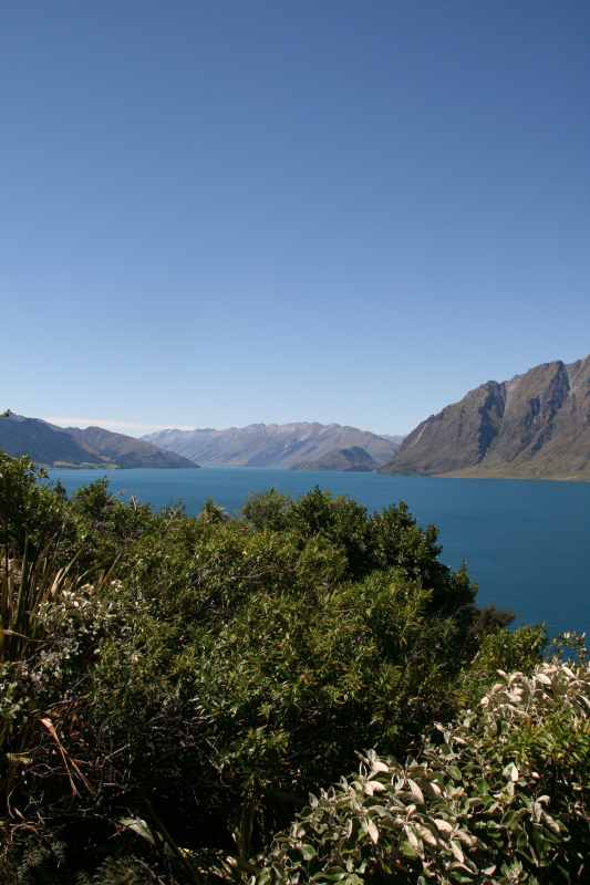 Nieuw-Zeeland 2011 - 1605